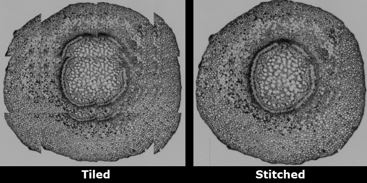 Montage Stitch Example